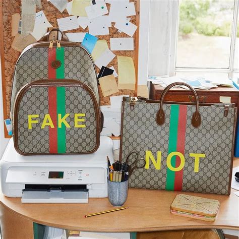 gucci fake/not collection